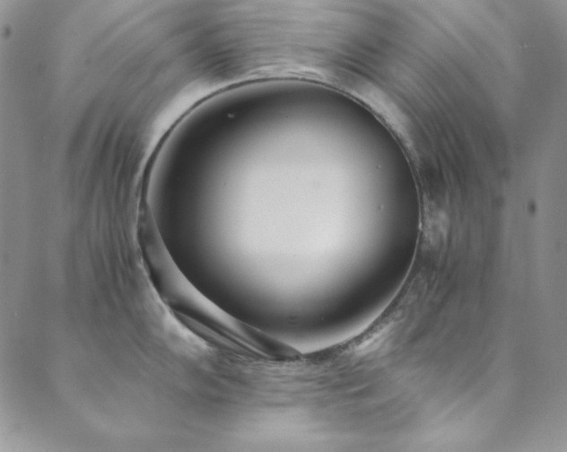 X0000089871102200706281310