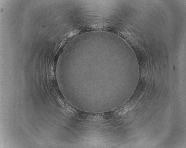 X0000089871106200706281309