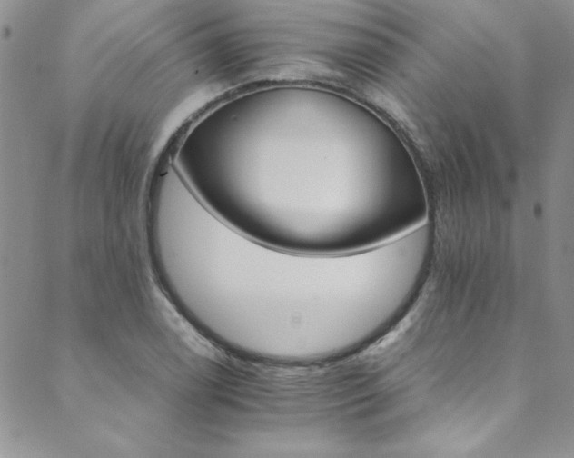 X0000089871122200706281309