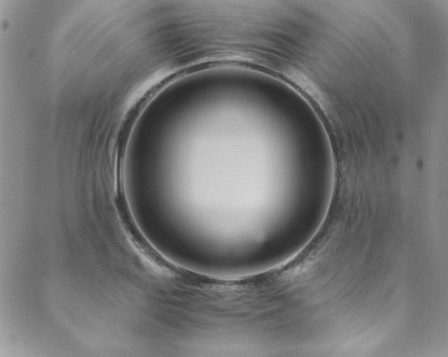 X0000089871127200706281309