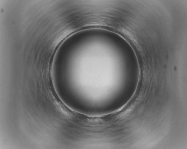 X0000089871129200706281309
