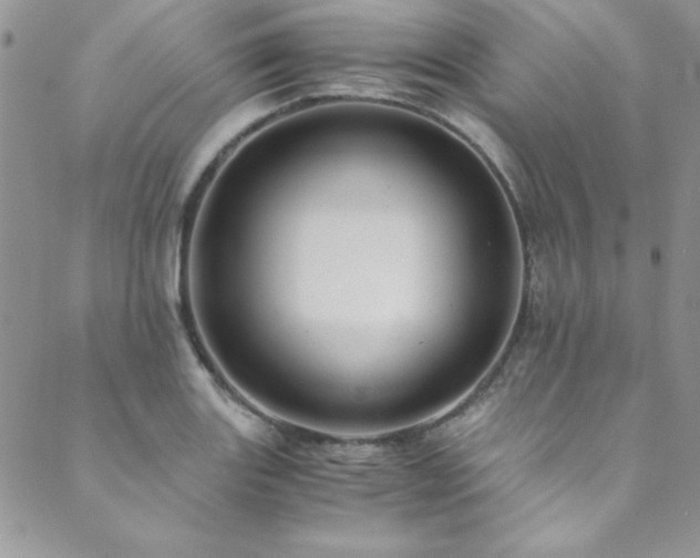 X0000089871131200706281309
