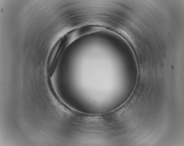 X0000089871133200706281309