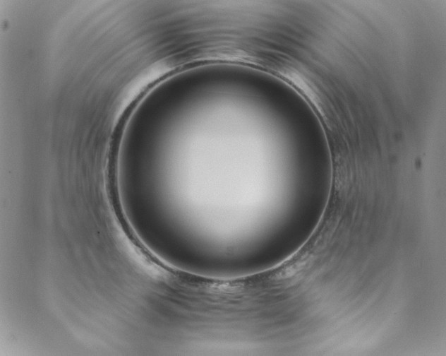 X0000089871139200706281309