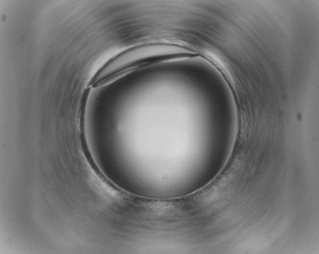 X0000089871141200706281309
