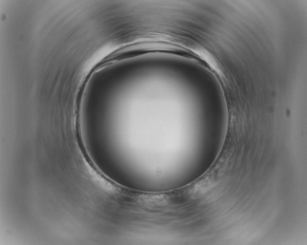 X0000089871143200706281309