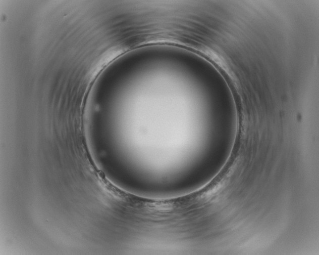 X0000089871145200706281309
