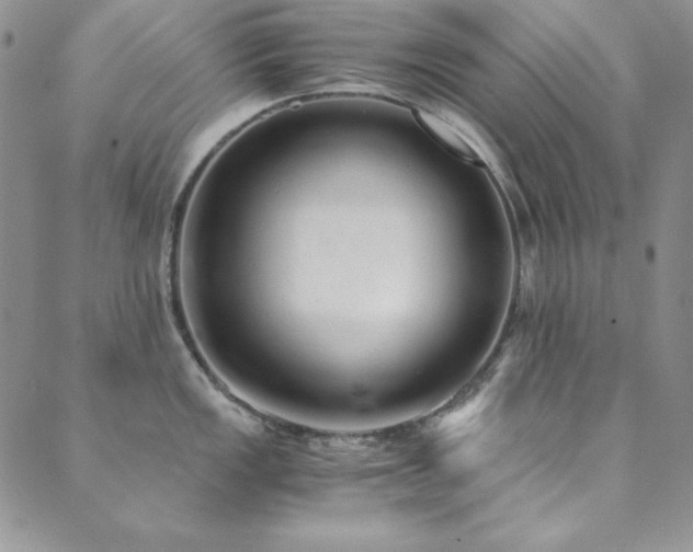 X0000089871149200706281309