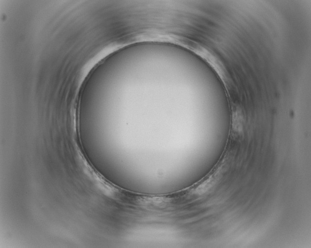 X0000089871150200706281309