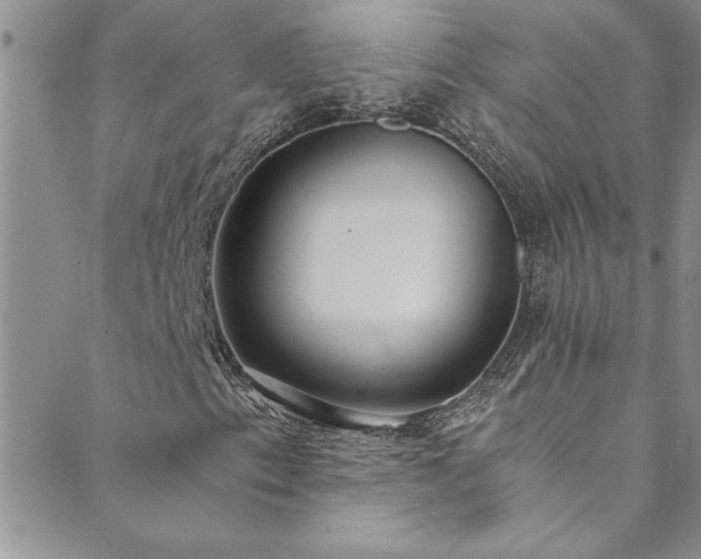 X0000089871153200706281309