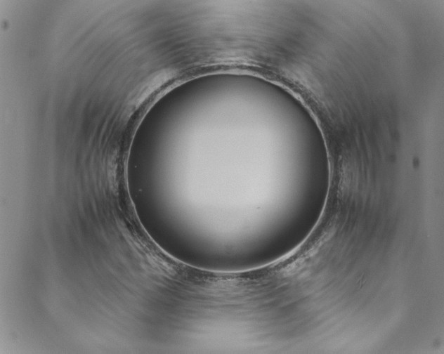 X0000089871162200706281309