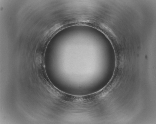 X0000089871169200706281308