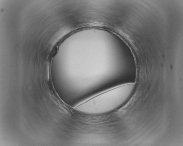 X0000089871171200706281308