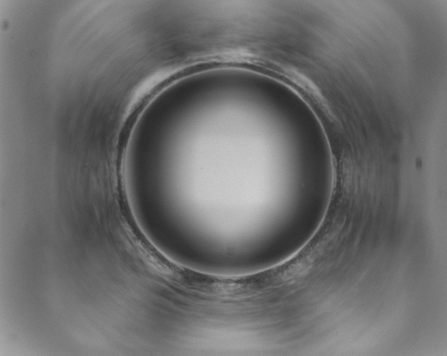 X0000089871176200706281308