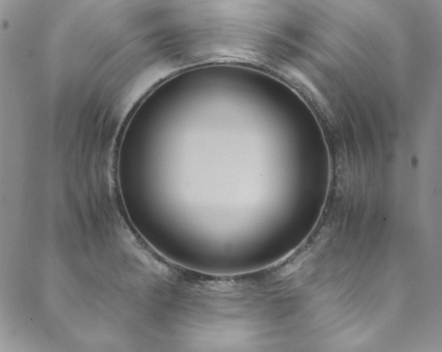 X0000089871182200706281308