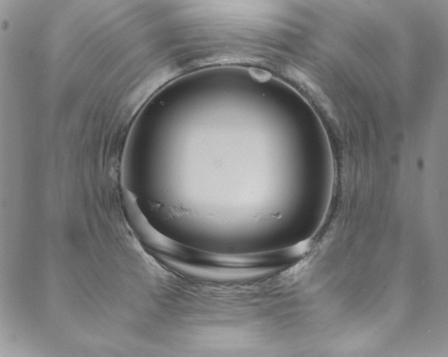 X0000089871185200706281308