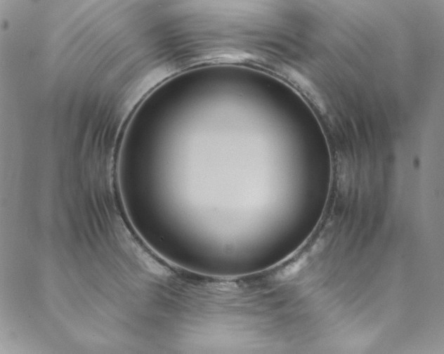 X0000089871186200706281308
