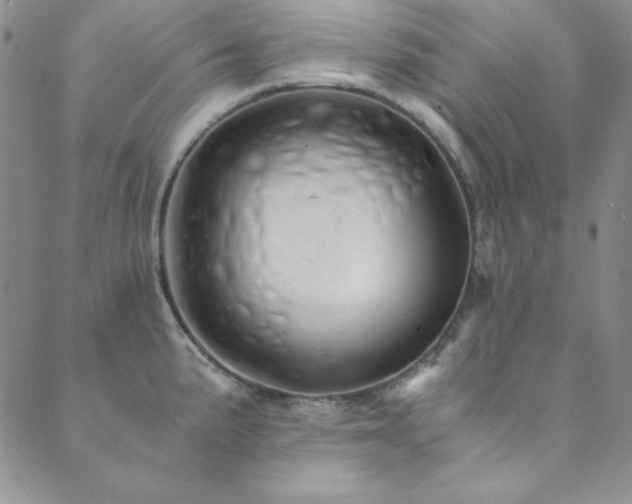 X0000089871191200706281308