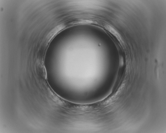 X0000089871193200706281308