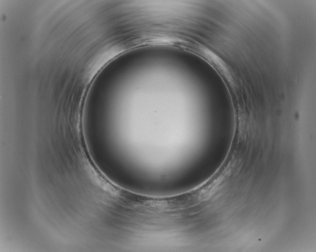 X0000089871194200706281308