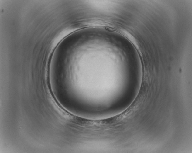 X0000089871195200706281308