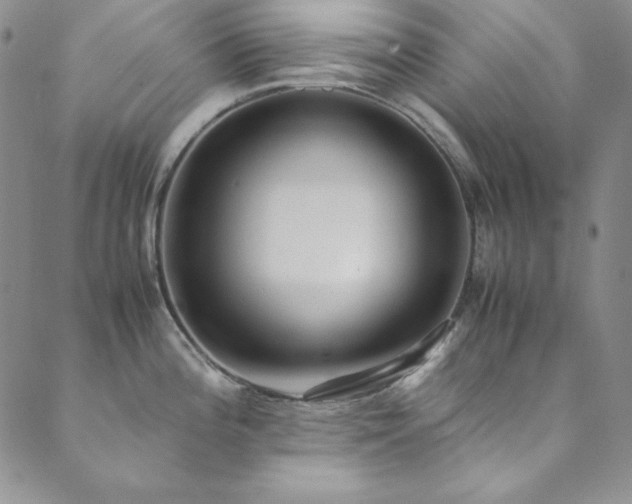 X0000089871196200706281308