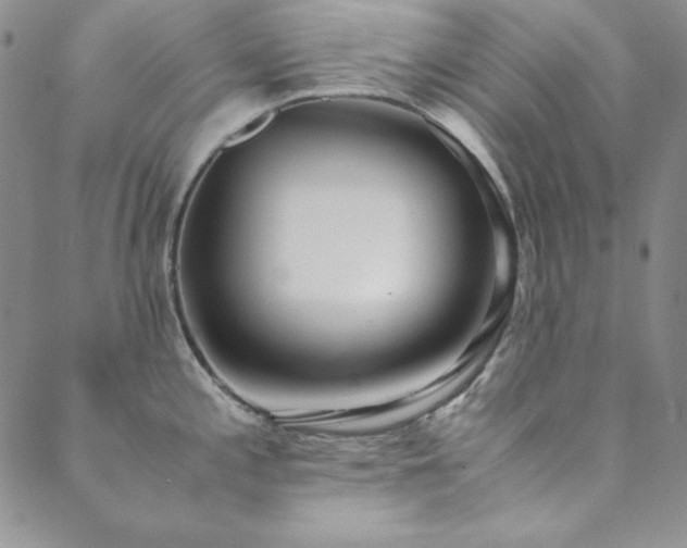X0000089871197200706281308