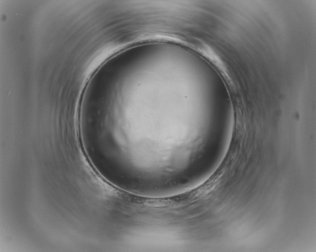 X0000089871199200706281308