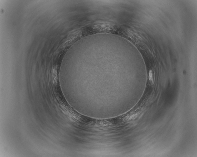 X0000089871203200706281307