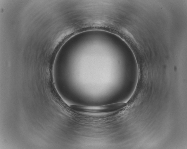 X0000089871218200706281307