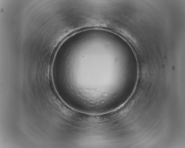 X0000089871220200706281308