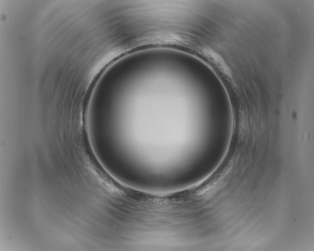 X0000089871226200706281308