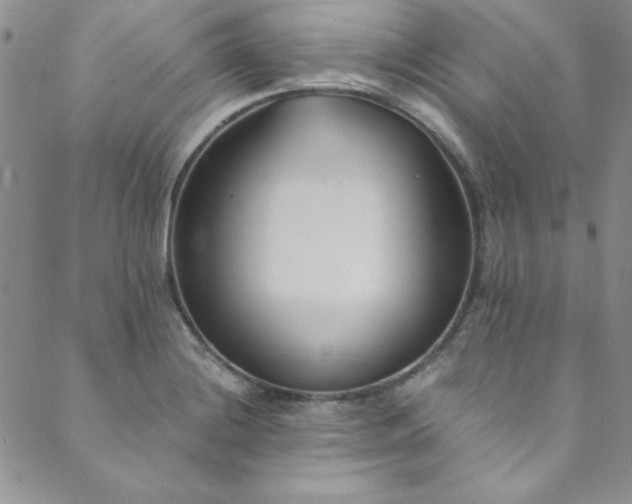X0000089871228200706281308