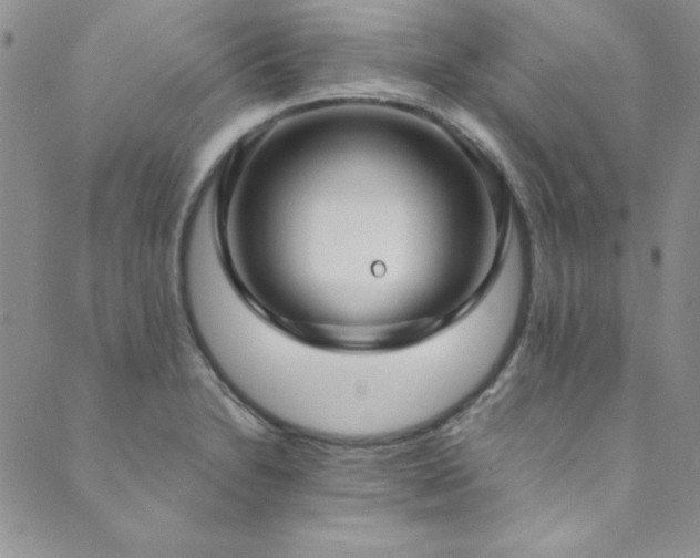 X0000089871230200706281308