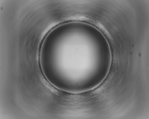 X0000089871232200706281308