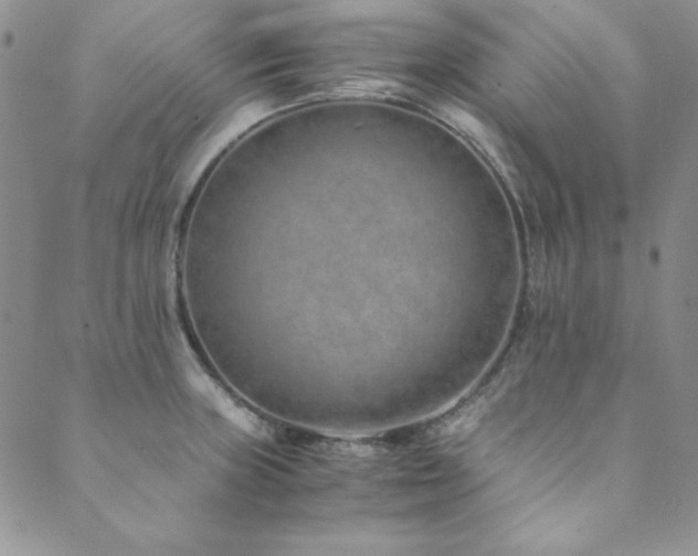 X0000089871235200706281308
