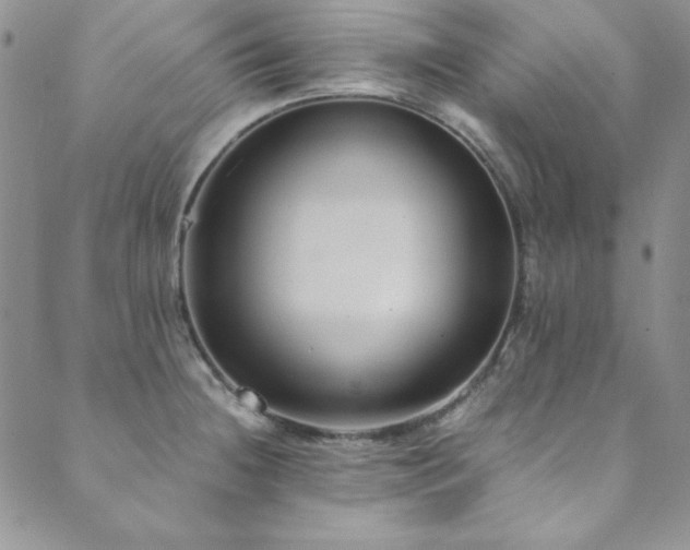 X0000089871236200706281308