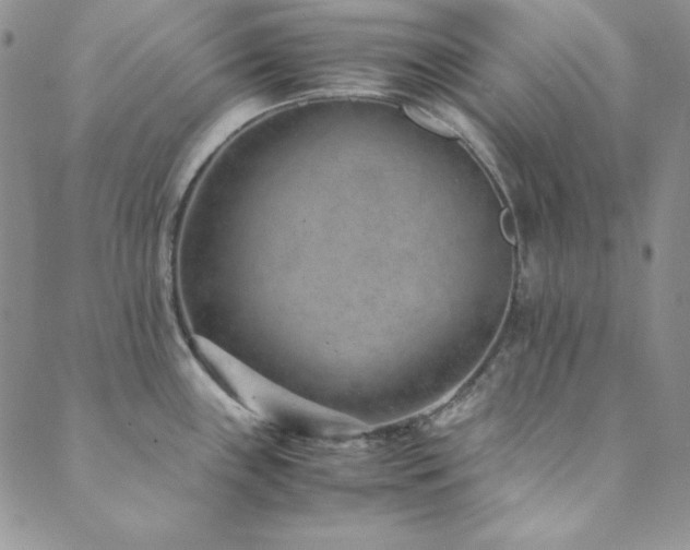 X0000089871243200706281308