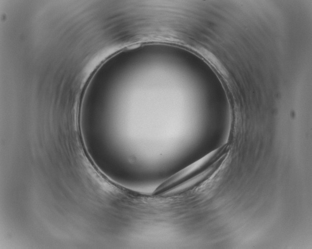 X0000089871246200706281308