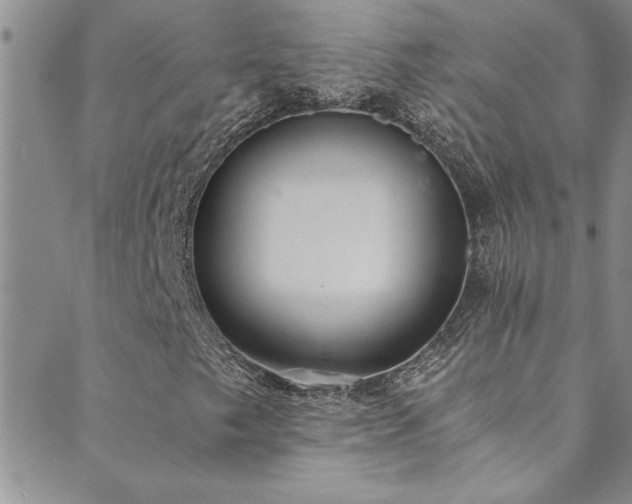 X0000089871249200706281307