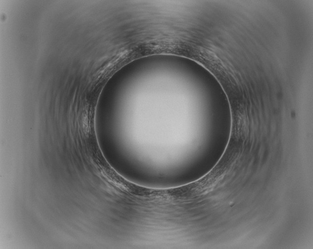 X0000089871250200706281307