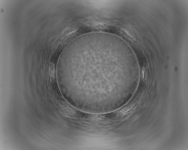 X0000089871251200706281307