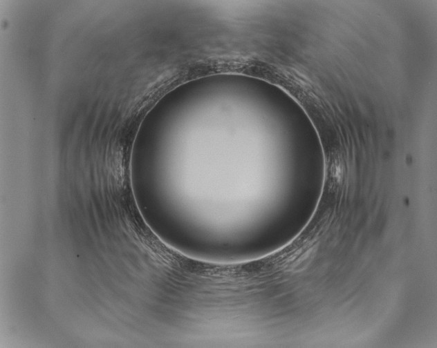 X0000089871252200706281307