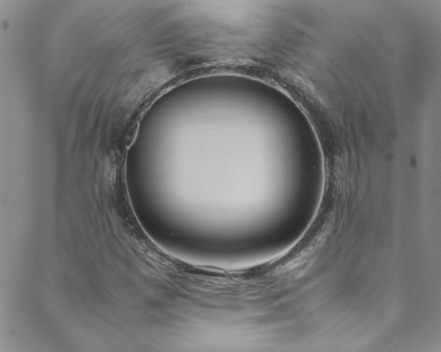 X0000089871257200706281307