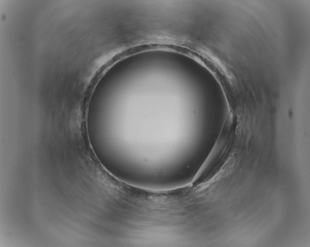 X0000089871264200706281307