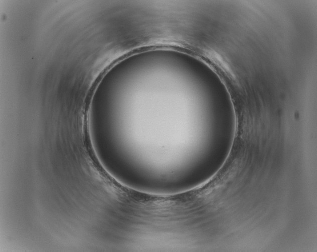 X0000089871268200706281307