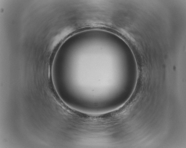 X0000089871269200706281307