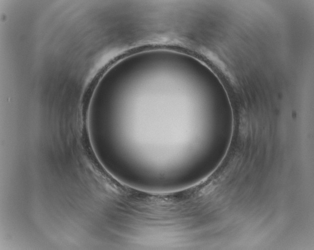 X0000089871270200706281307