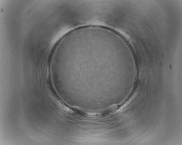 X0000089871271200706281307