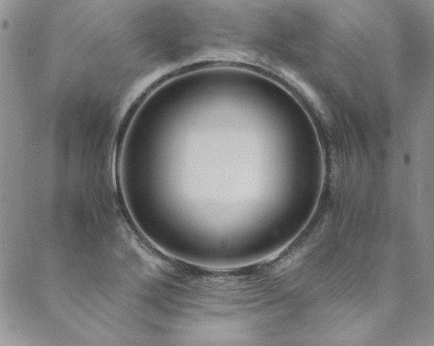 X0000089871272200706281307